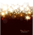 Elegant Christmas background with snowflakes and vector image