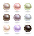 Spherical pearls vector image