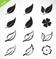 Leaves icon set vector image