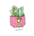 cartoon cute succulents in pot vector image