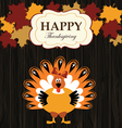 Turkey with maples vector image