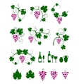 Grape vines design elements set vector image