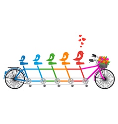Tandem bicycle with birds family vector image