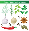 Highly detailed herbs and spices icons set vector image