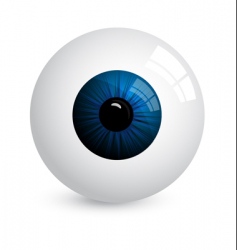 Eyeball vector image