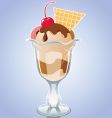 Assorted ice-cream vector image