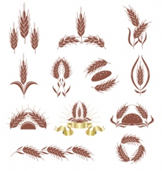 Grain ears vector image