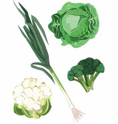 Green vegetable vector image