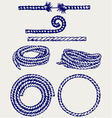 Nautical rope knots vector image
