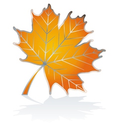 Icon maple leave vector image
