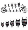 Cute owls on tandem bicycle vector image