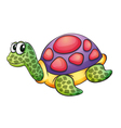 Tortoise vector image