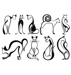 Black cats vector image