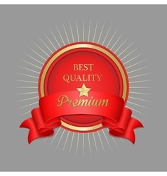 Premium Label and Ribbon with Star and Sunburst vector image