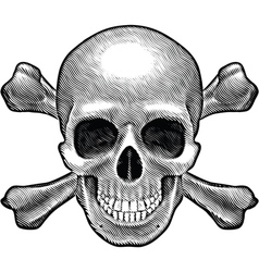 Skull and crossbones figure vector image