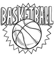 Basketball vector image