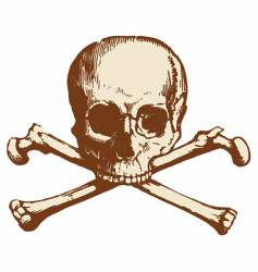 Skull and cross bones Skull and cross bones vector image