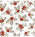 Holly berry vector image