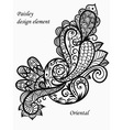 Monochrome paisley vector image