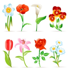 Flower set vector image