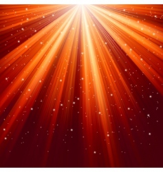 Snowflakes and stars vector image