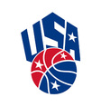 United States USA American Basketball Ball vector image