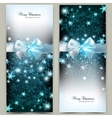 Elegant Christmas greeting cards with blue bows vector image