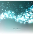 Elegant Christmas background with snowflakes and vector image
