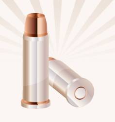 Ammunition vector image