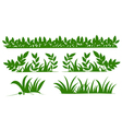 Grass silhouettes vector image