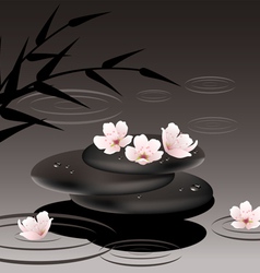 Zen stones and cherry flowers vector image