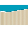 Cardboard torn edge vector image