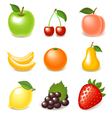 Fruit icon set vector image