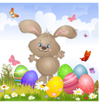 Aester rabbit4 vector image