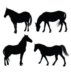 Detailed horse silhouettes vector image