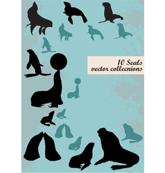 Silhouettes of seals vector image