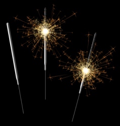 Sparkler vector image