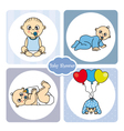 Baby boy arrival announcement card vector image