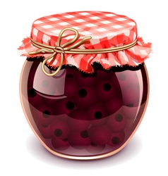 Cherry jam vector image