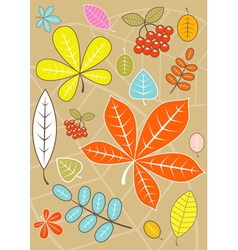 Colored autumn leaves vector image