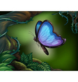 A butterfly in the rainforest vector image