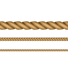 Ropes vector image