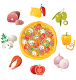 Pizza and ingredients vector image