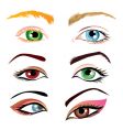 Human eyes vector image