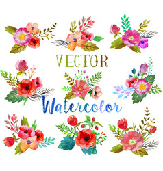 Watercolor buttonholes vector image