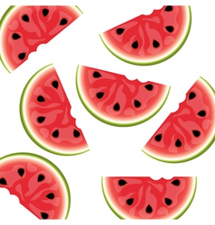 Watermelon background isolated vector image
