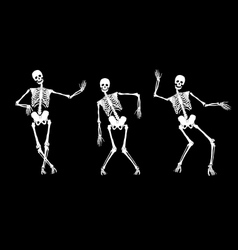 Skeletons vector image