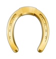 Golden horseshoe vector image