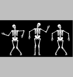 White dancing skeletons vector image