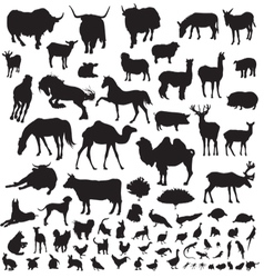 Silhouettes of animals vector image
